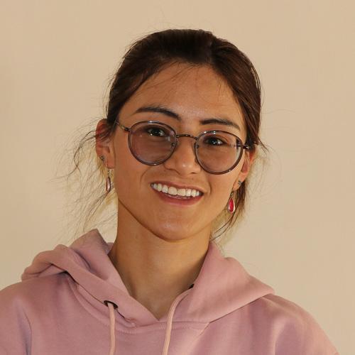 History & Economics Teacher
