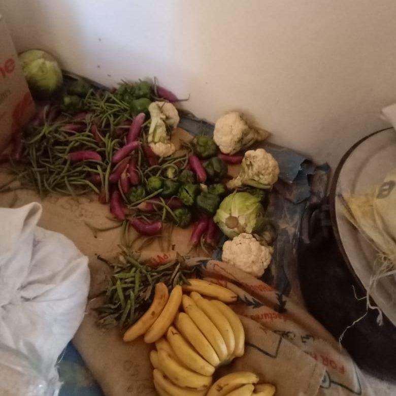 Provisions de fruits et légumes pour l'internat