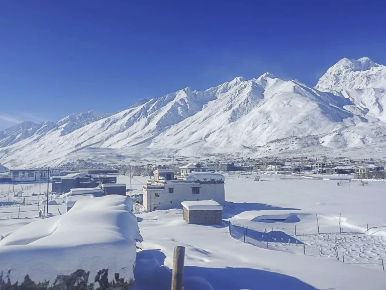 Pipiting sous la neige (février 2025)